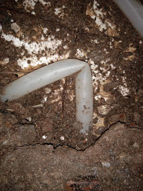 石楼堵点精准查找